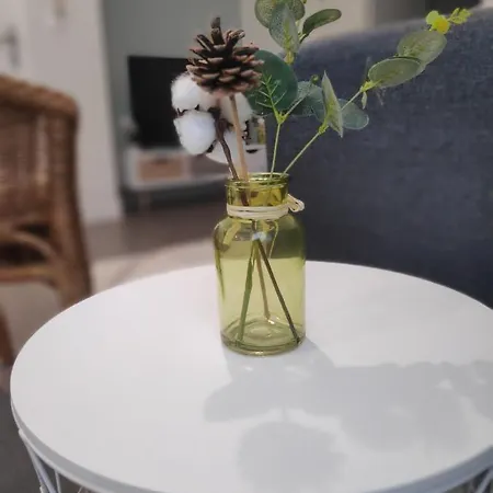 T2 Neuf -le Dôme- *