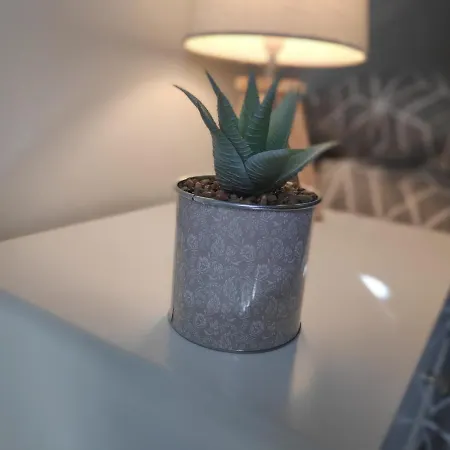 T2 Neuf -le Dôme- Apartamento *